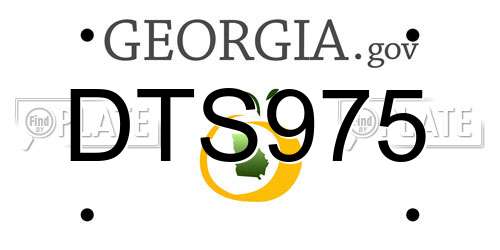 DTS975 Georgia License Plate