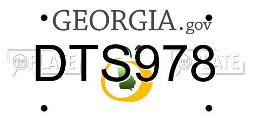 DTS978 Georgia License Plate