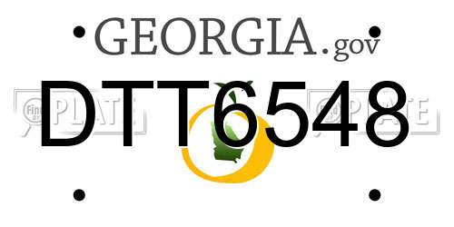 DTT6548 Georgia License Plate