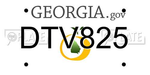 DTV825 Georgia License Plate