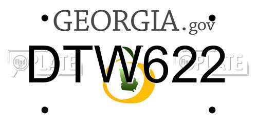 DTW622 Georgia License Plate