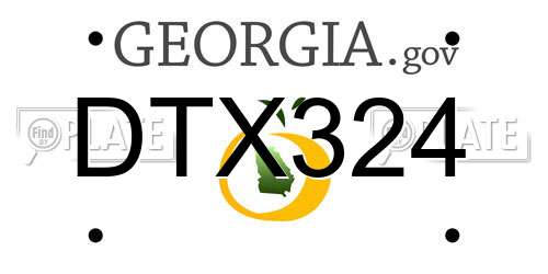 DTX324 Georgia License Plate