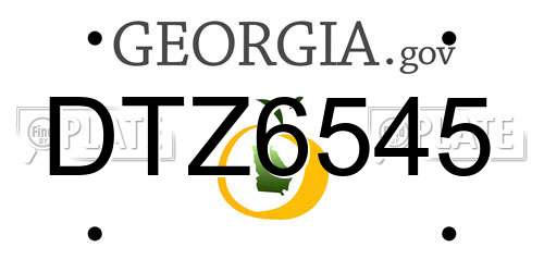 DTZ6545 Georgia License Plate