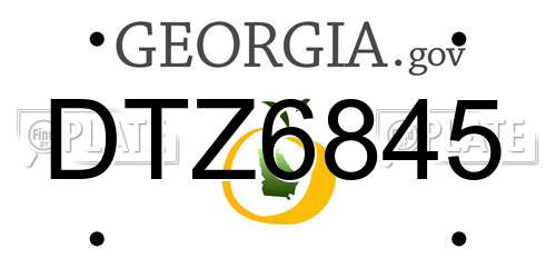 DTZ6845 Georgia License Plate