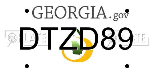 DTZD89 Georgia License Plate