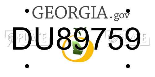 DU89759 Georgia License Plate