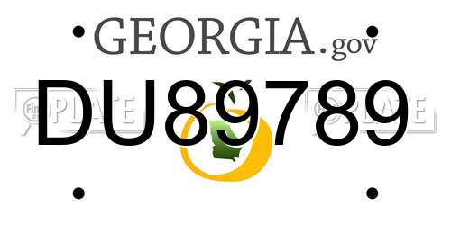DU89789 Georgia License Plate