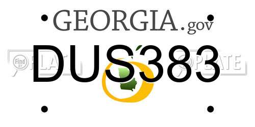 DUS383 Georgia License Plate