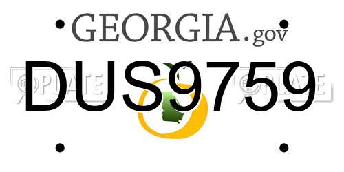 DUS9759 Georgia License Plate