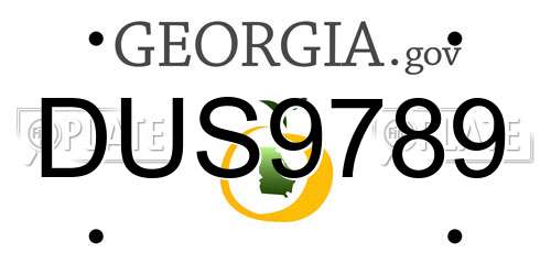 DUS9789 Georgia License Plate