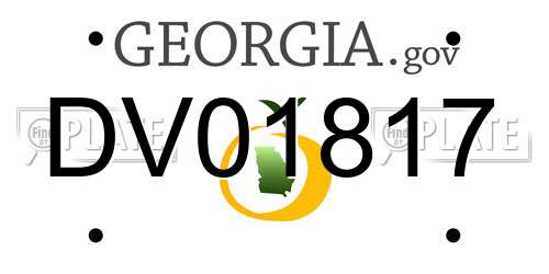 DV01817 Georgia License Plate