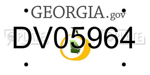 DV05964 Georgia License Plate