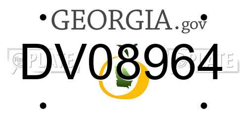 DV08964 Georgia License Plate