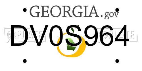 DV0S964 Georgia License Plate