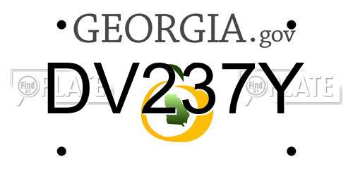 DV237Y Georgia License Plate