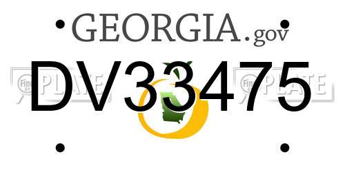 DV33475 Georgia License Plate