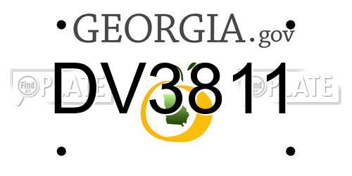DV3811 Georgia License Plate