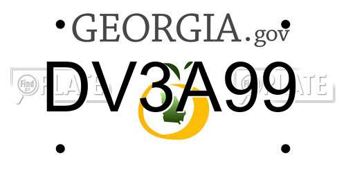 DV3A99 Georgia License Plate
