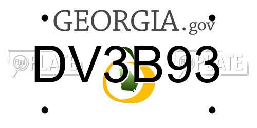 DV3B93 Georgia License Plate