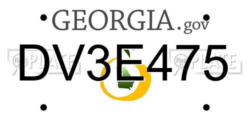 DV3E475 Georgia License Plate