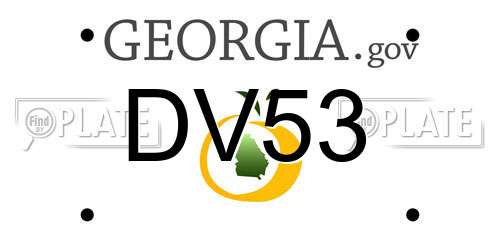 DV53 Georgia License Plate