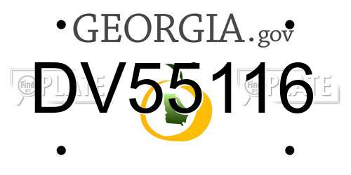 DV55116 Georgia License Plate