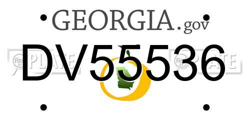 DV55536 Georgia License Plate