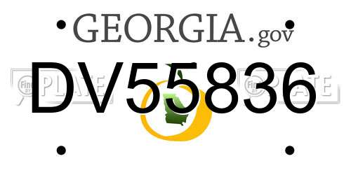 DV55836 Georgia License Plate