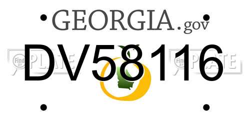 DV58116 Georgia License Plate
