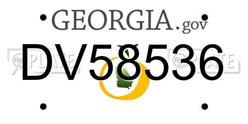 DV58536 Georgia License Plate