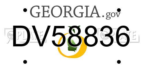 DV58836 Georgia License Plate