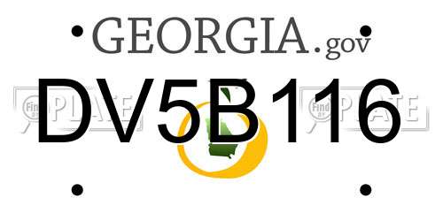 DV5B116 Georgia License Plate