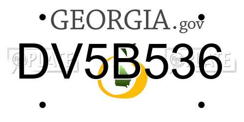 DV5B536 Georgia License Plate