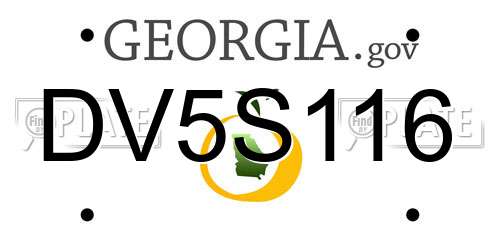 DV5S116 Georgia License Plate