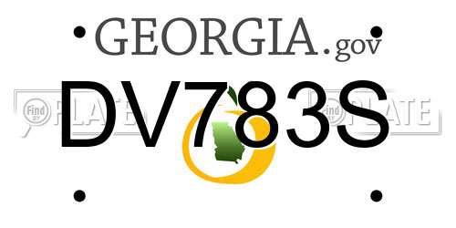 DV783S Georgia License Plate