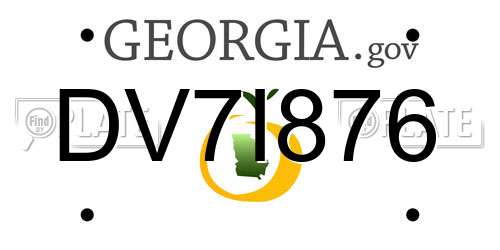 DV7I876 Georgia License Plate