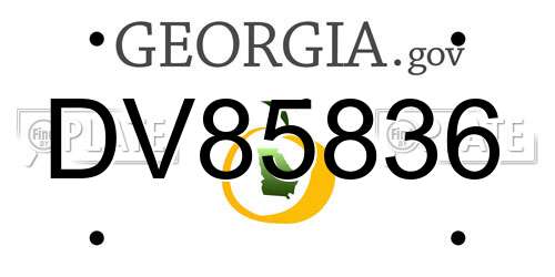 DV85836 Georgia License Plate