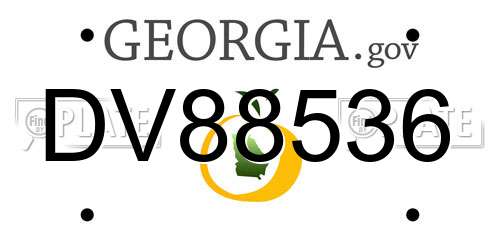 DV88536 Georgia License Plate