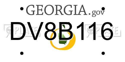 DV8B116 Georgia License Plate