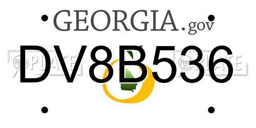 DV8B536 Georgia License Plate