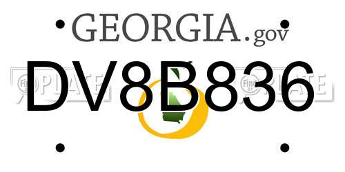 DV8B836 Georgia License Plate