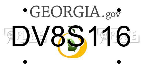 DV8S116 Georgia License Plate