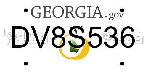 DV8S536 Georgia License Plate
