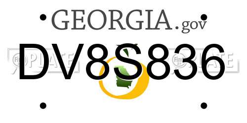 DV8S836 Georgia License Plate