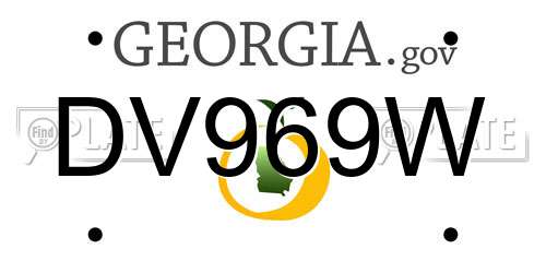 DV969W Georgia License Plate