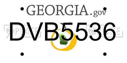 DVB5536 Georgia License Plate
