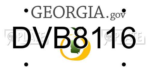 DVB8116 Georgia License Plate