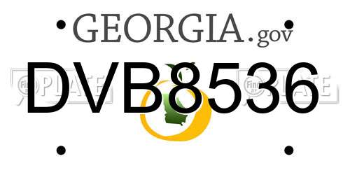 DVB8536 Georgia License Plate