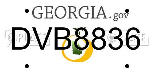DVB8836 Georgia License Plate
