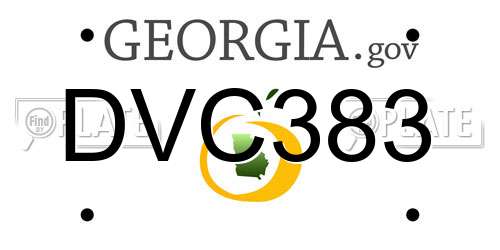 DVC383 Georgia License Plate